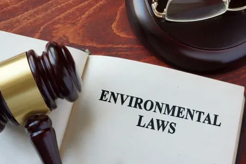 Environmental Crime Fine