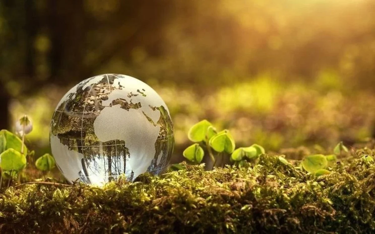 Why Environmental Lawyers Matter More Than Ever in 2025: Key Industry Shifts